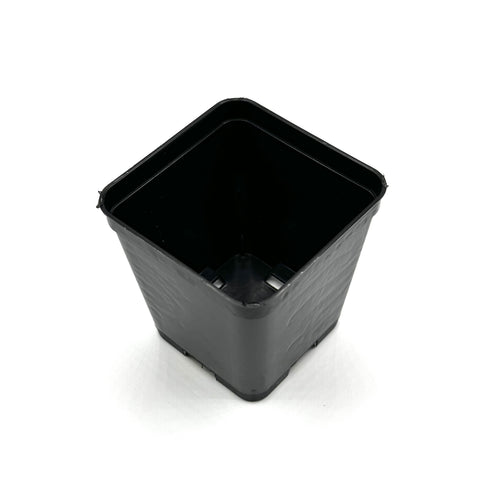 Vaso quadrato nero in plastica – 7×7×10 cm